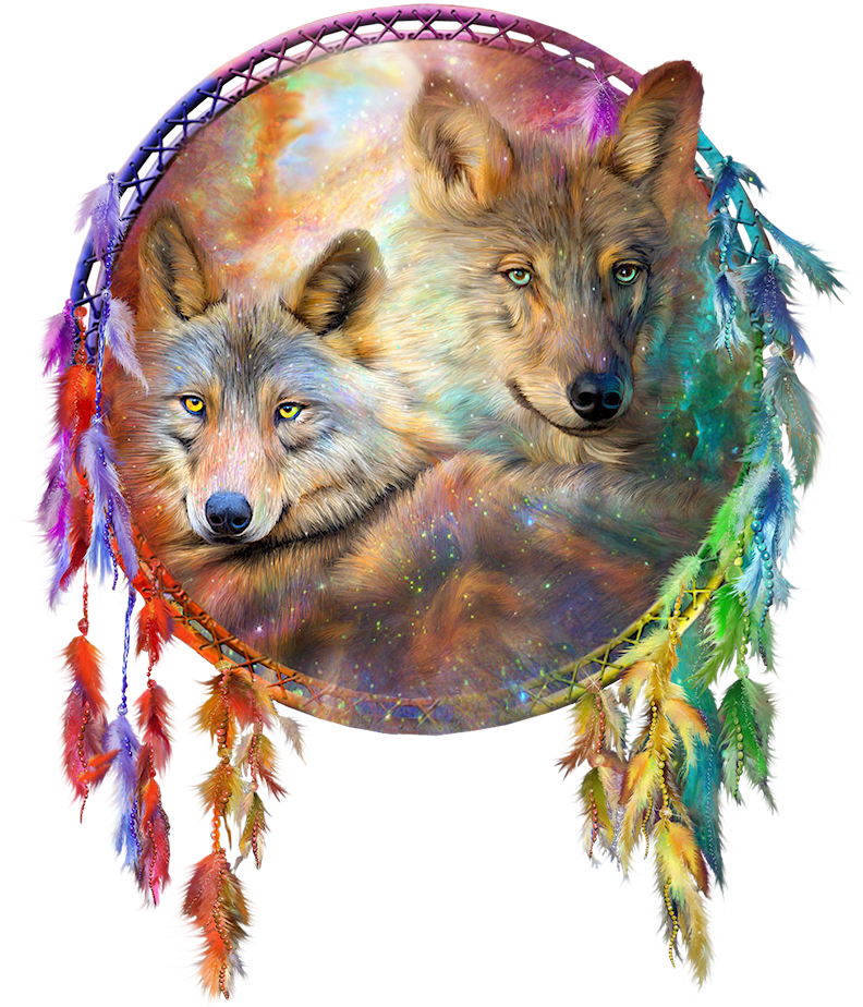 Fox Wildlife Pastels Dreamcatcher Art PNG
