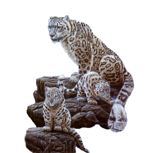 Cheetah Tiger File Cat Wildlife PNG