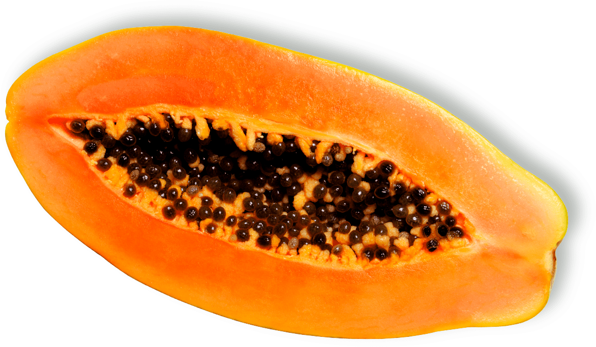 Mango Cucumber Fruits Crookneck Sago PNG