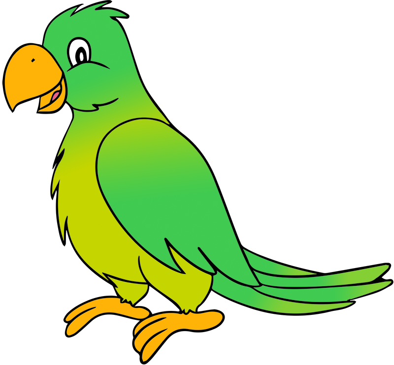 Background Family Budgie Parrot Cute PNG