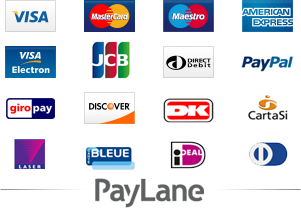 Ways Meme Payment Network Financing PNG