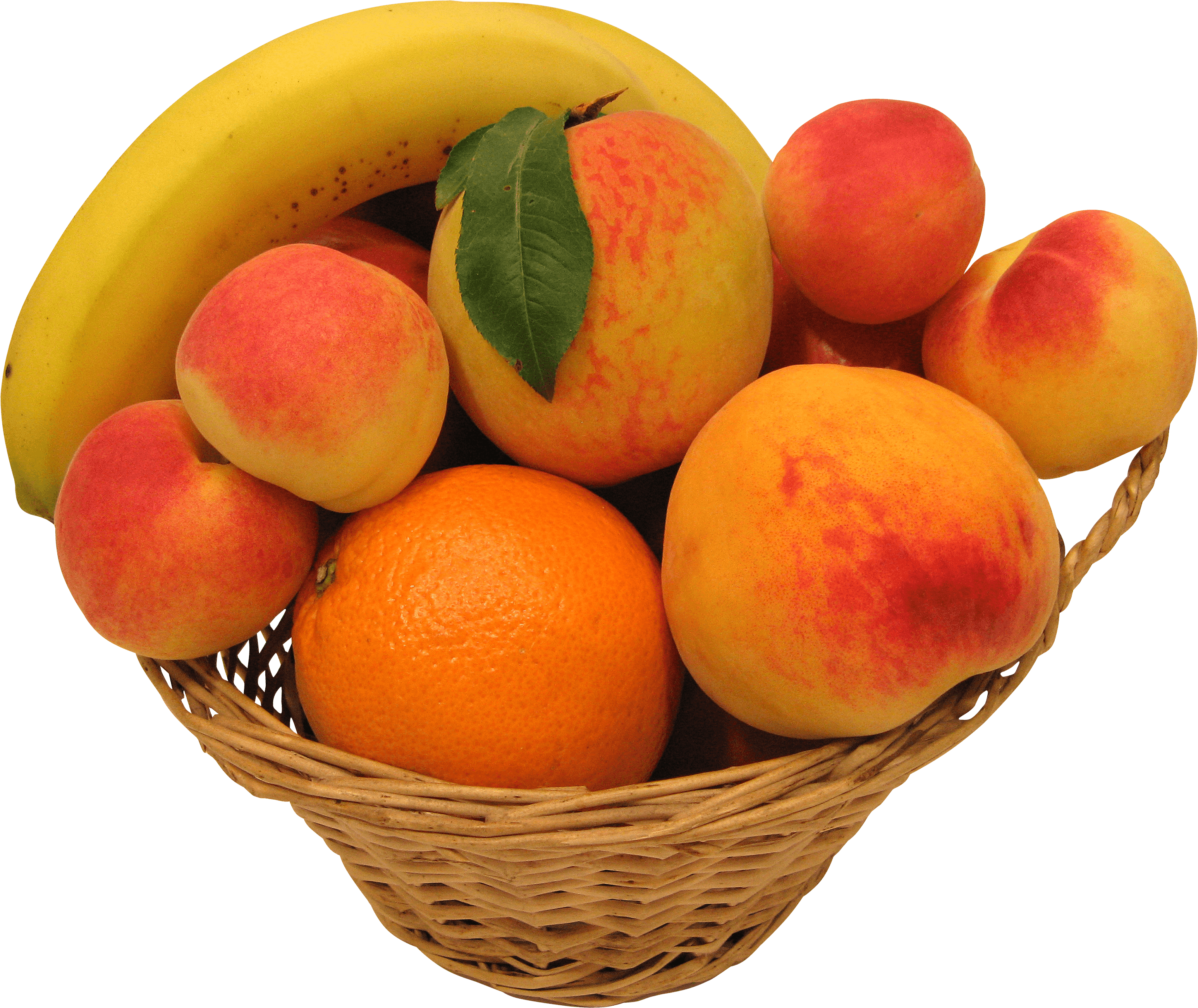 Harvest Denounce Peaches Stylish Lulu PNG