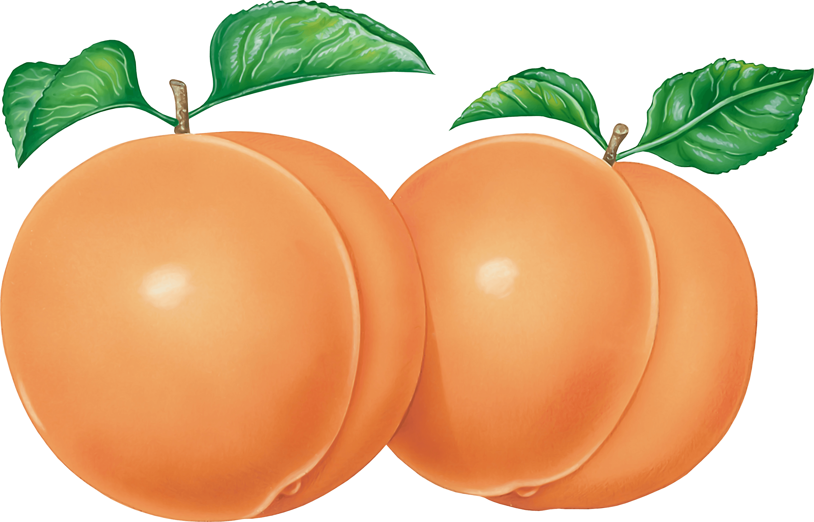 Peach Snitch Delicious Denounce Healthy PNG
