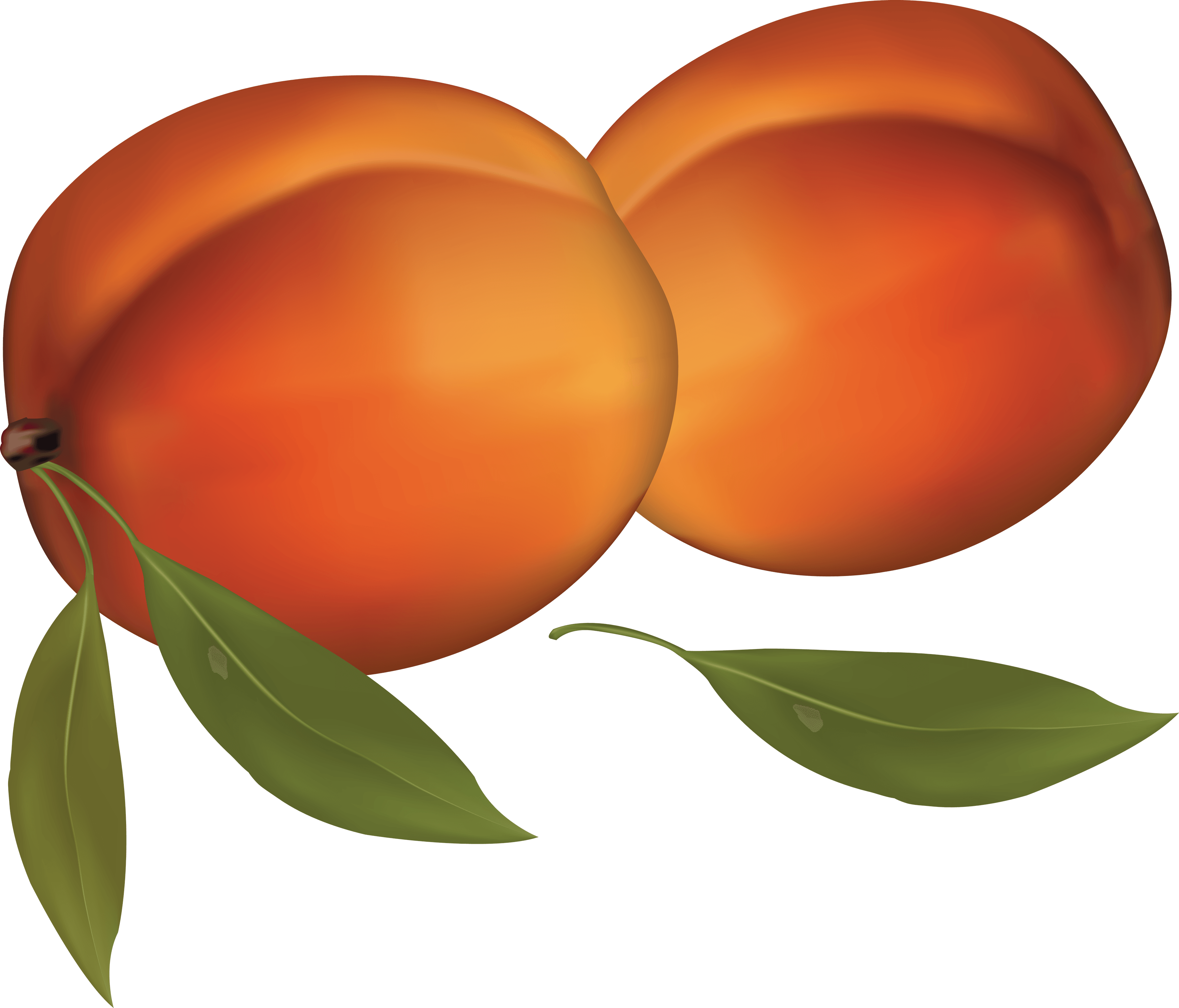 Gem Peach Betray Zucchini Jewel PNG