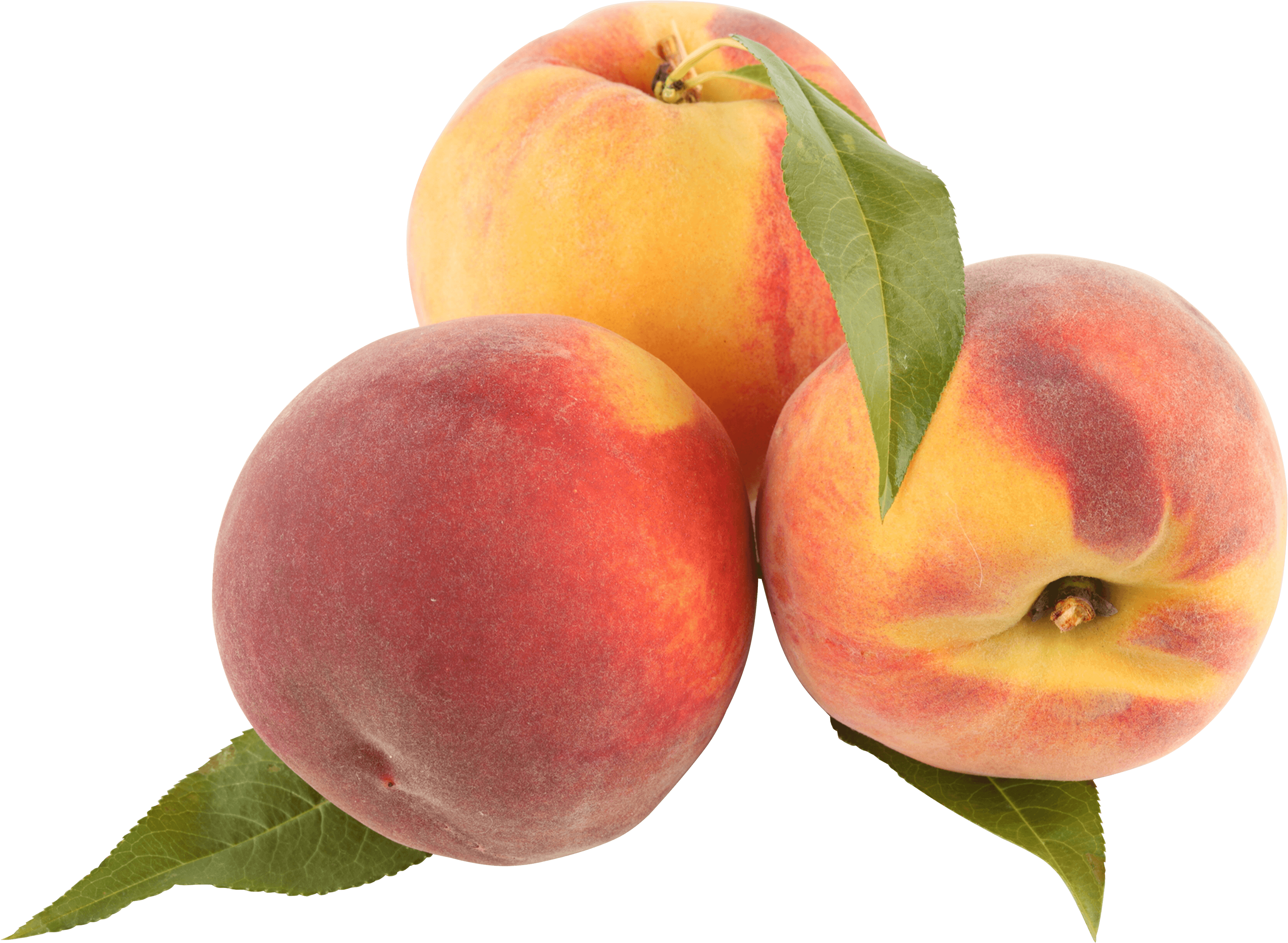 Healthy Knockout Peach Peaches Betray PNG
