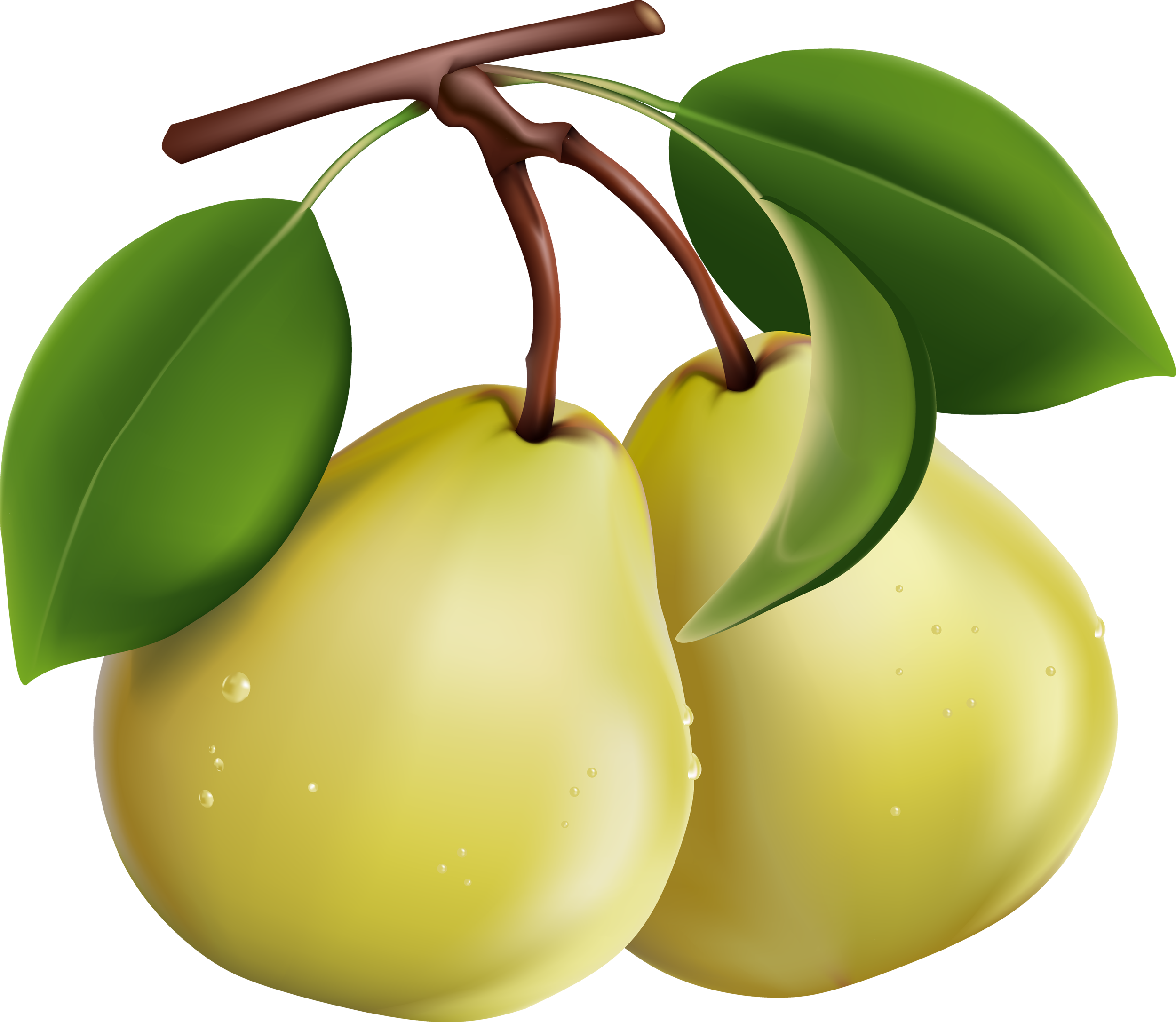 Girly Difference Pear PNG