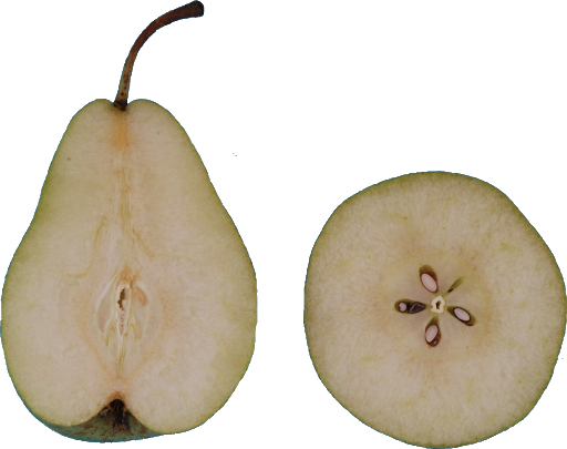 Asparagus Boysenberry Berry Apple Potato PNG