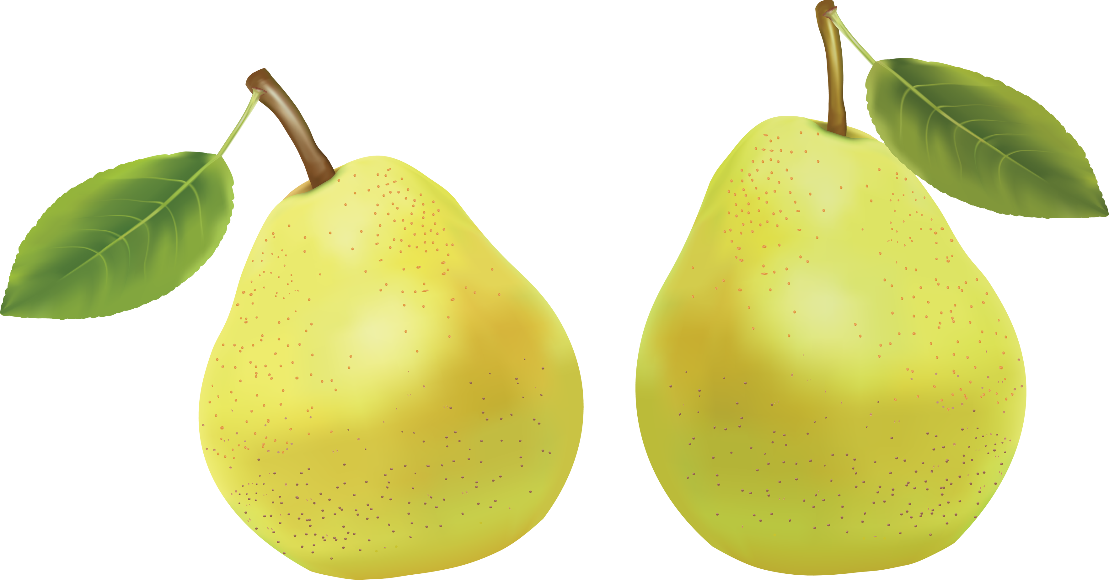 Almond Pears Nectarine Currants Pineapple PNG