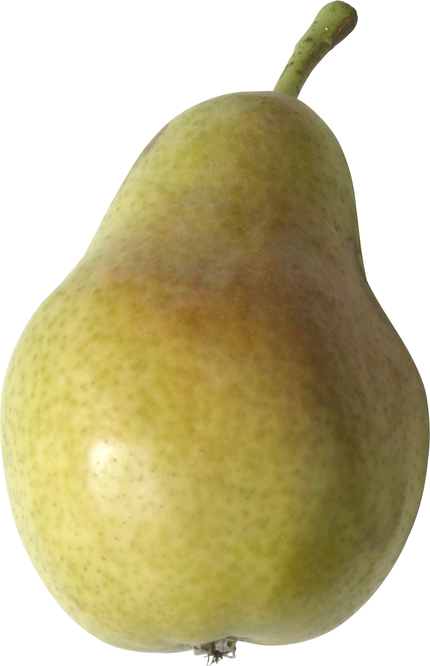 Organic Melon Pears Peaches Silk PNG