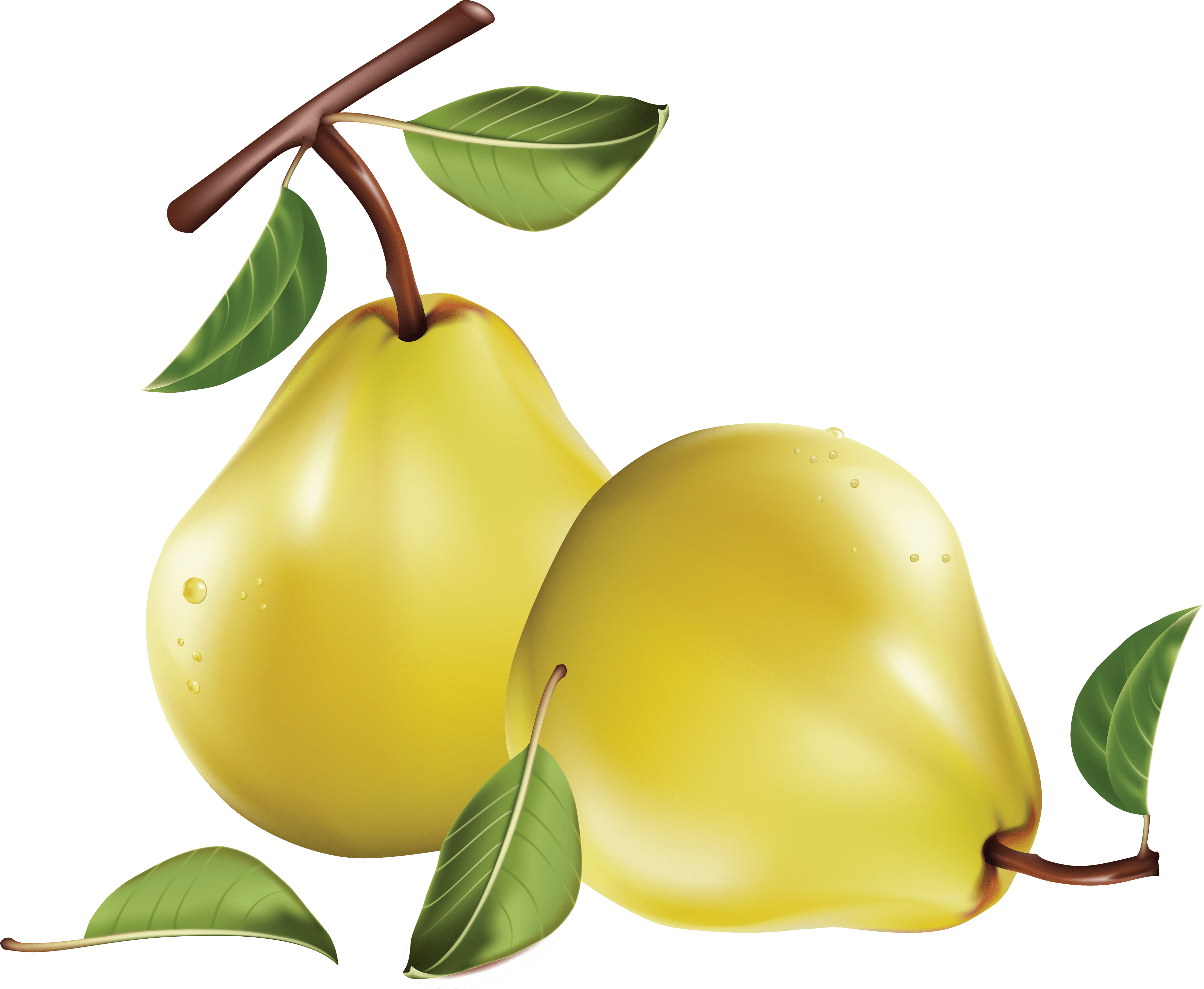 Fruit Mango Lei Girls Cherries PNG