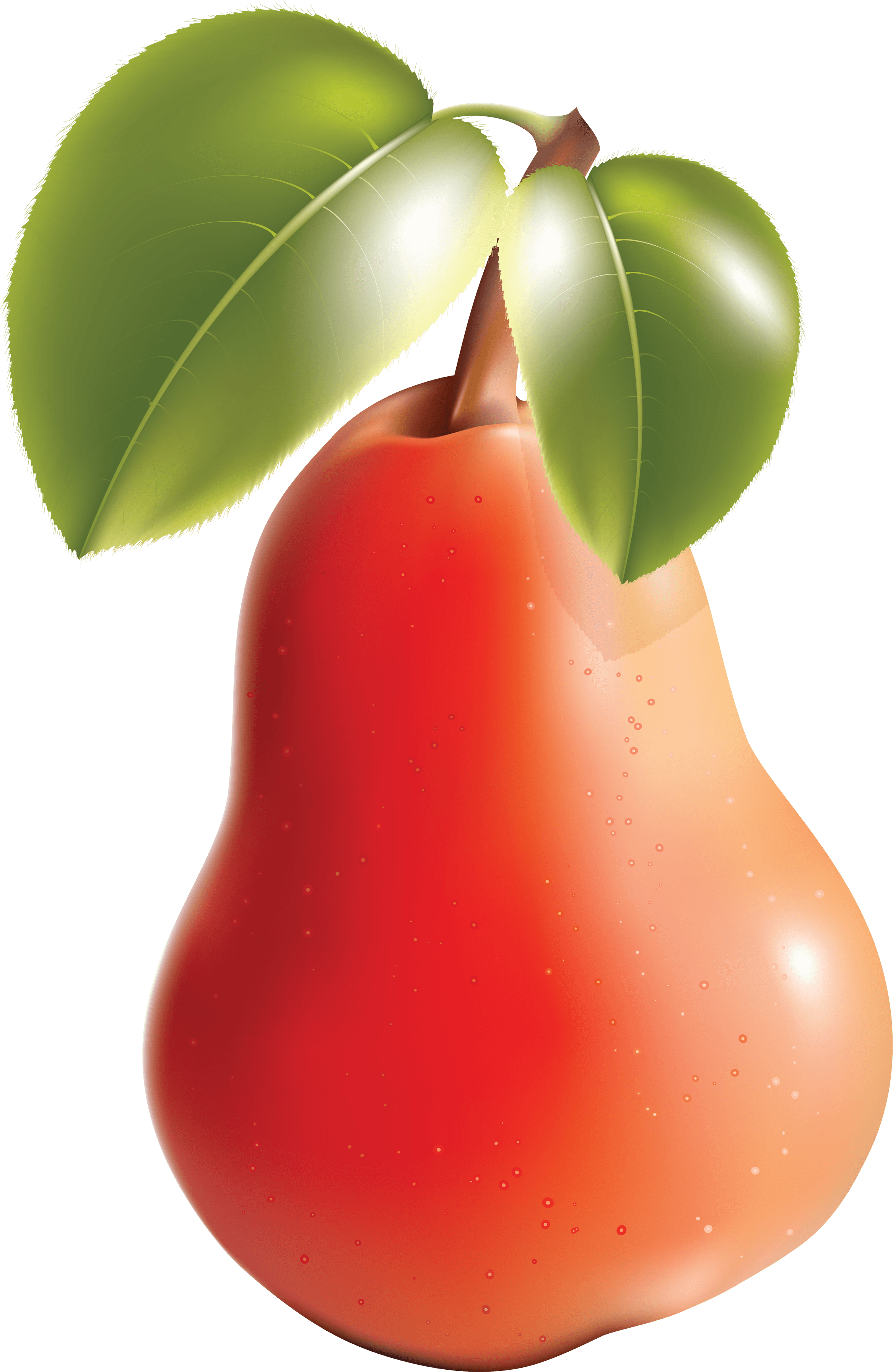 Pure Nectarine Fruit Peach Mark PNG