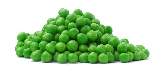 Fresh Chives Courgettes Beans Green PNG