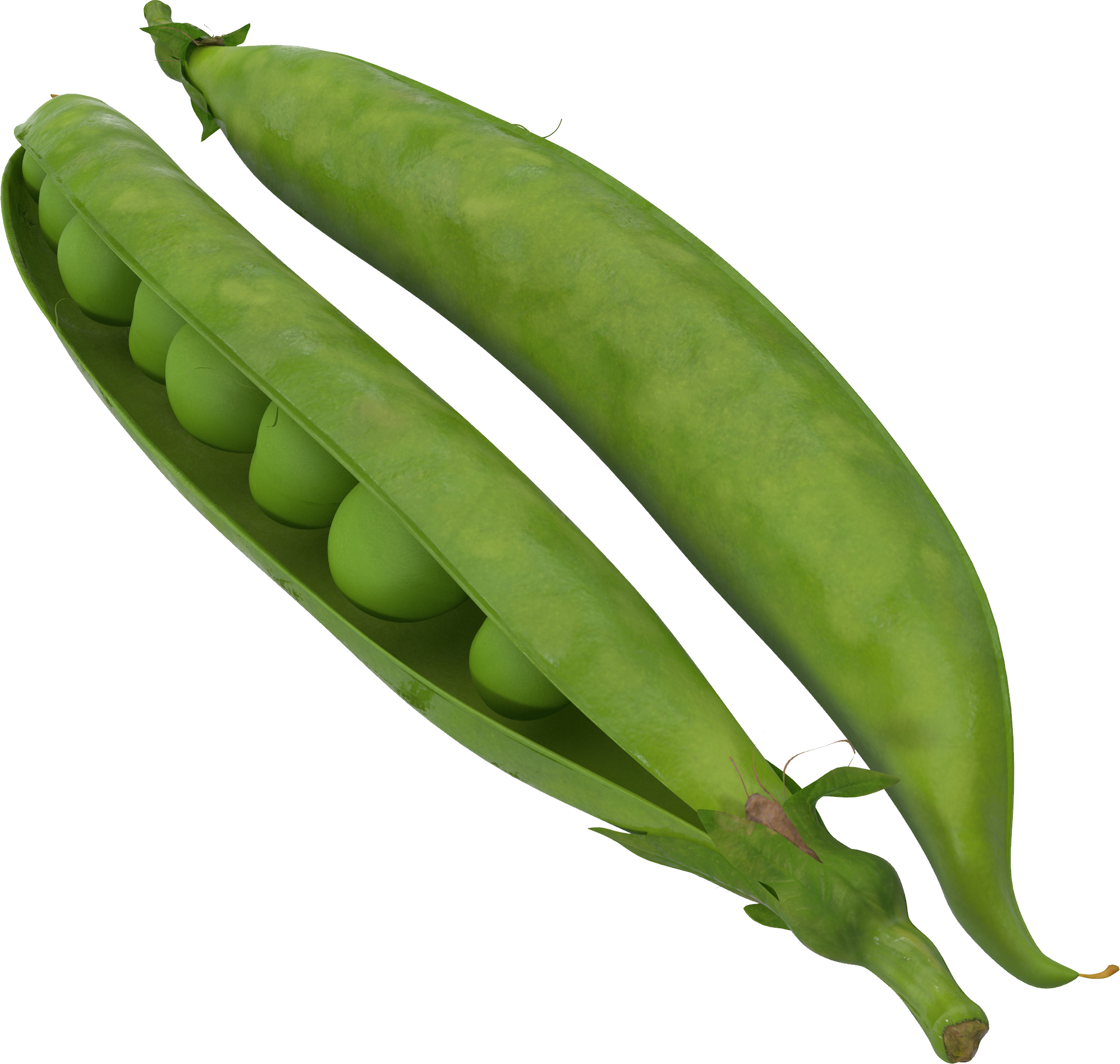 Pea Radishes Leeks Chives Ladyfinger PNG