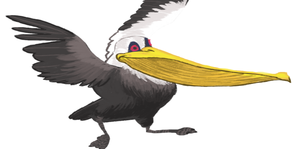 Sleeping Animals Pelican Biology Cormorant PNG