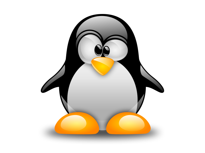 Servers Penguin Linux Computer Samba PNG