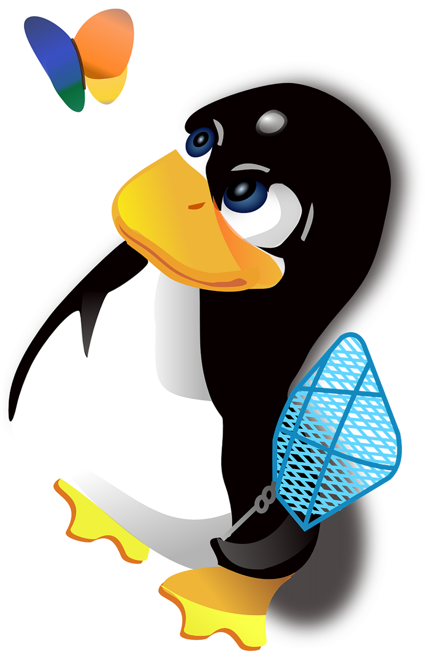 T-Shirt Suit Penguins Frame Hideaway PNG