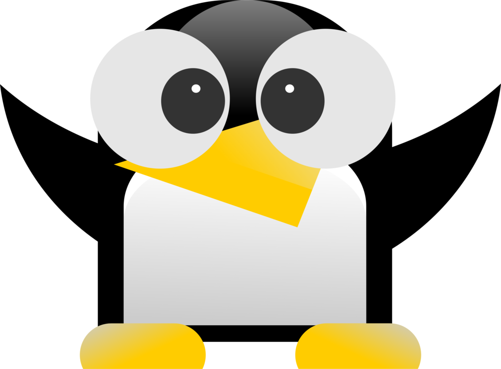 Beak Baboon Bird Penguin Computer PNG