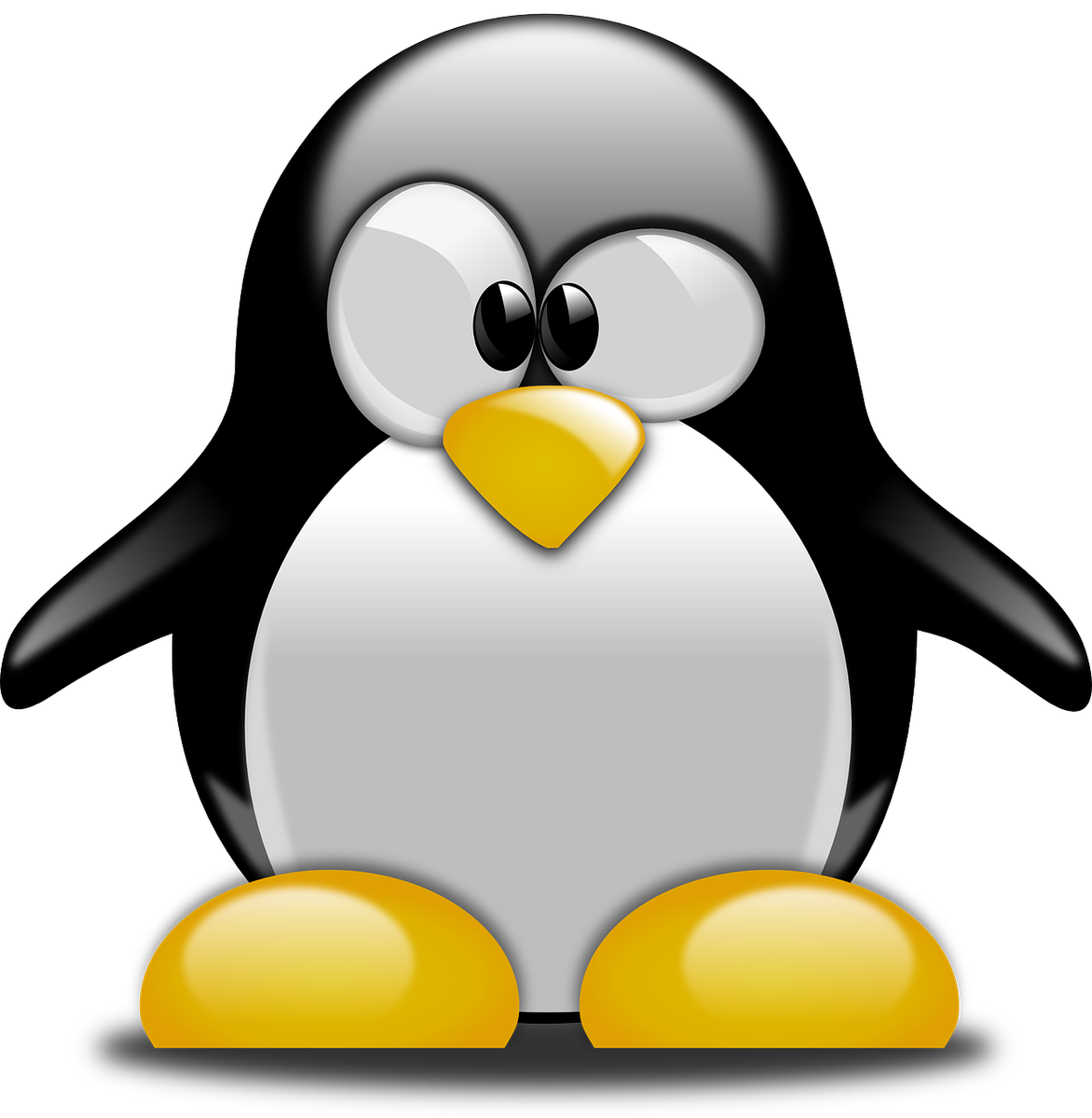 Bird Linux Beak Paperback Tux PNG
