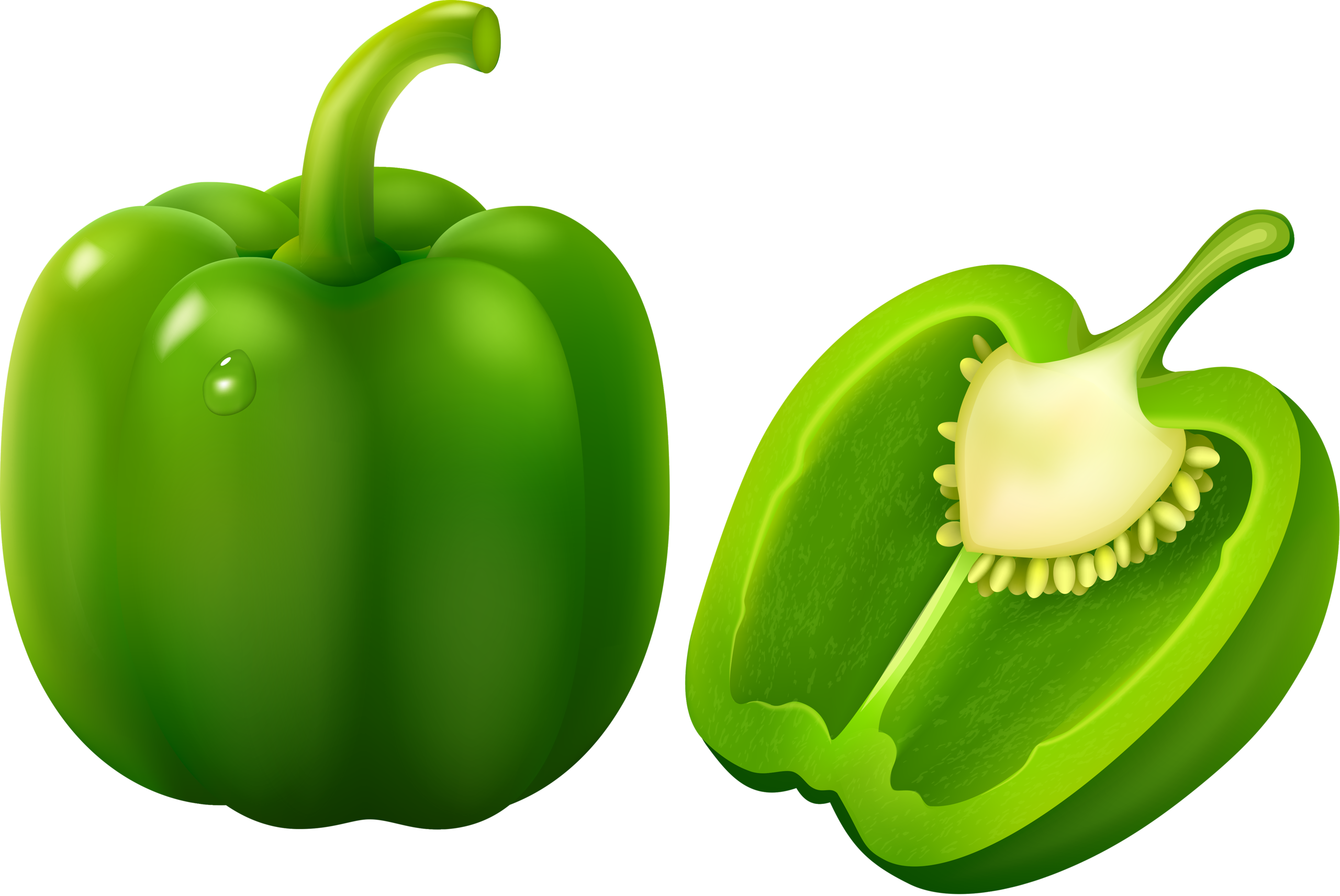 Bell Cilantro Green Pepper Cayenne PNG