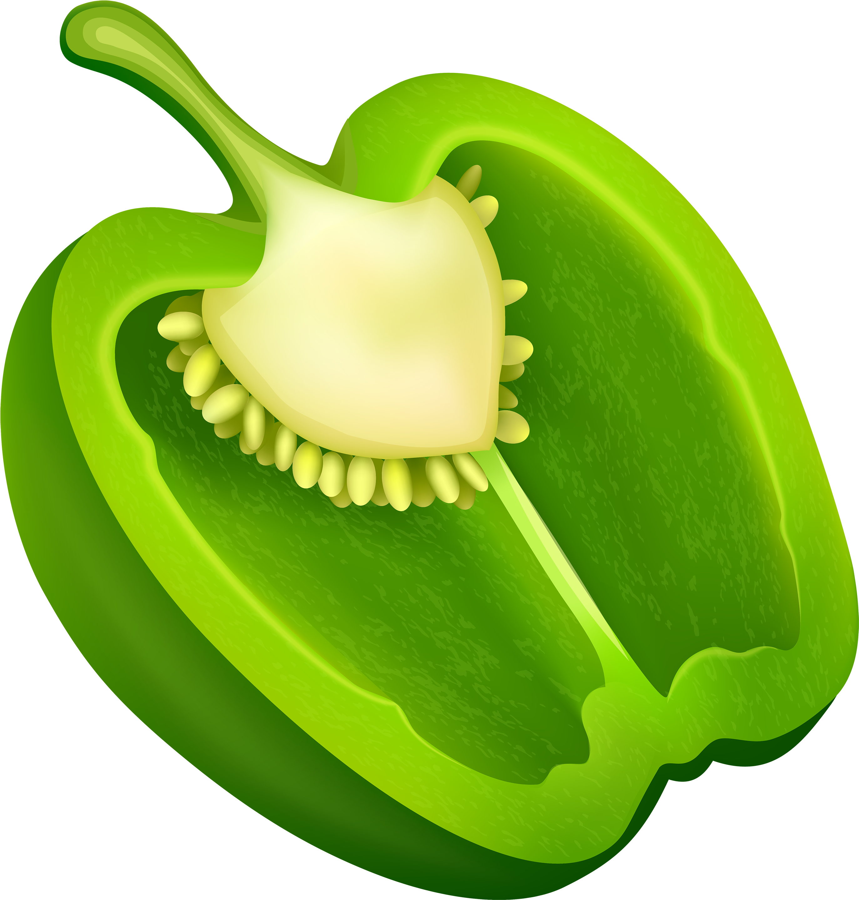 Vector Green Bell Onion Shakers PNG