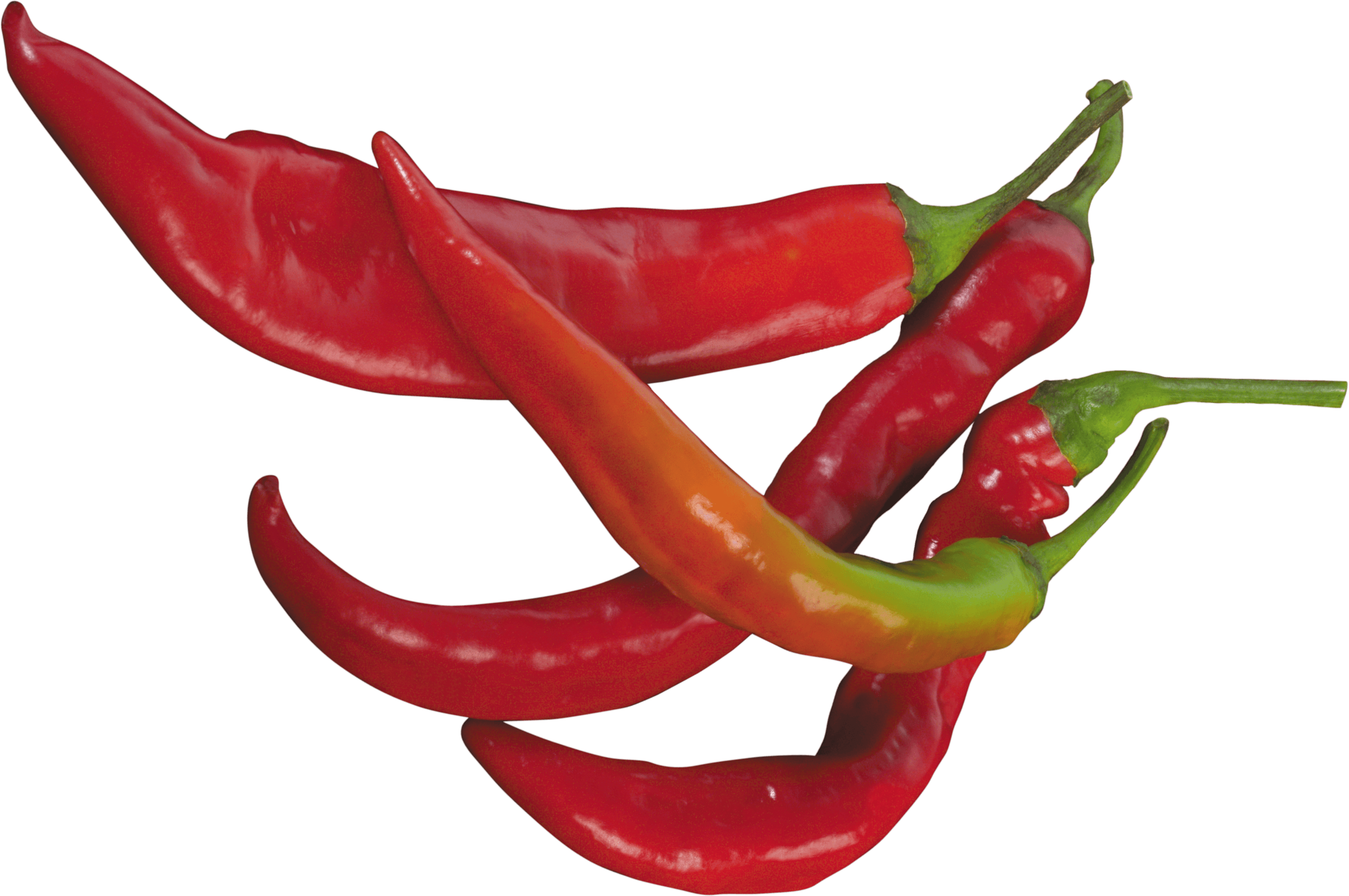 Lifestyle Piper Pop Chili Pepperoni PNG