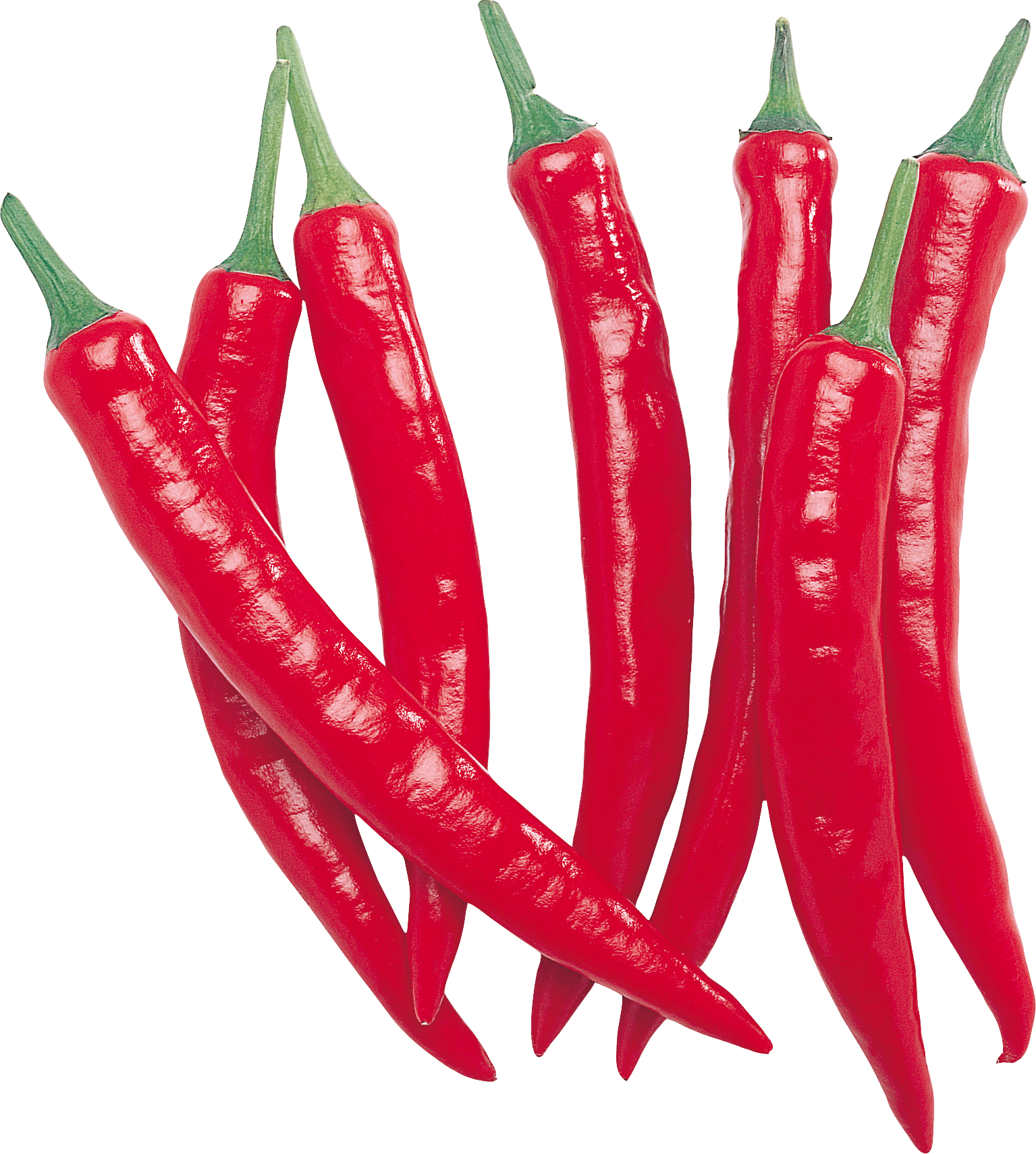 Dinnertime Business Pelt Fit Chili PNG