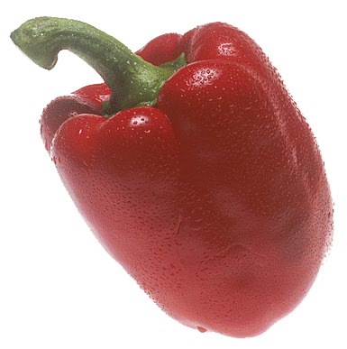 Seasoning Funny Spice Tags Pepper PNG