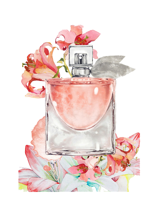 Painting Fragrance Perfume Bottle Shampoo PNG