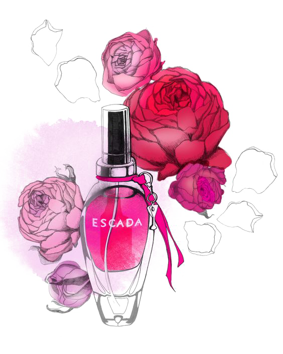 Bottle Pink Lavender Cologne Illustration PNG