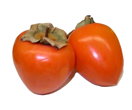 Berry Persimmon Butternut PNG