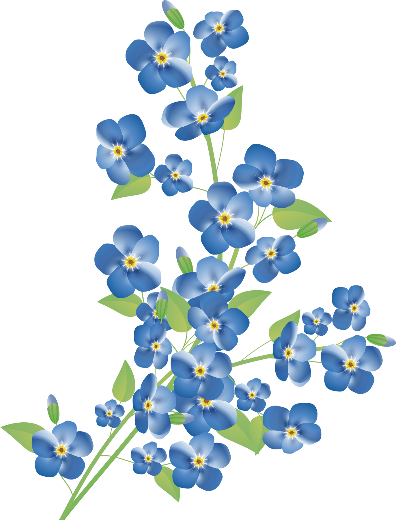 Flower Border Royalty-Free Blue Flora PNG
