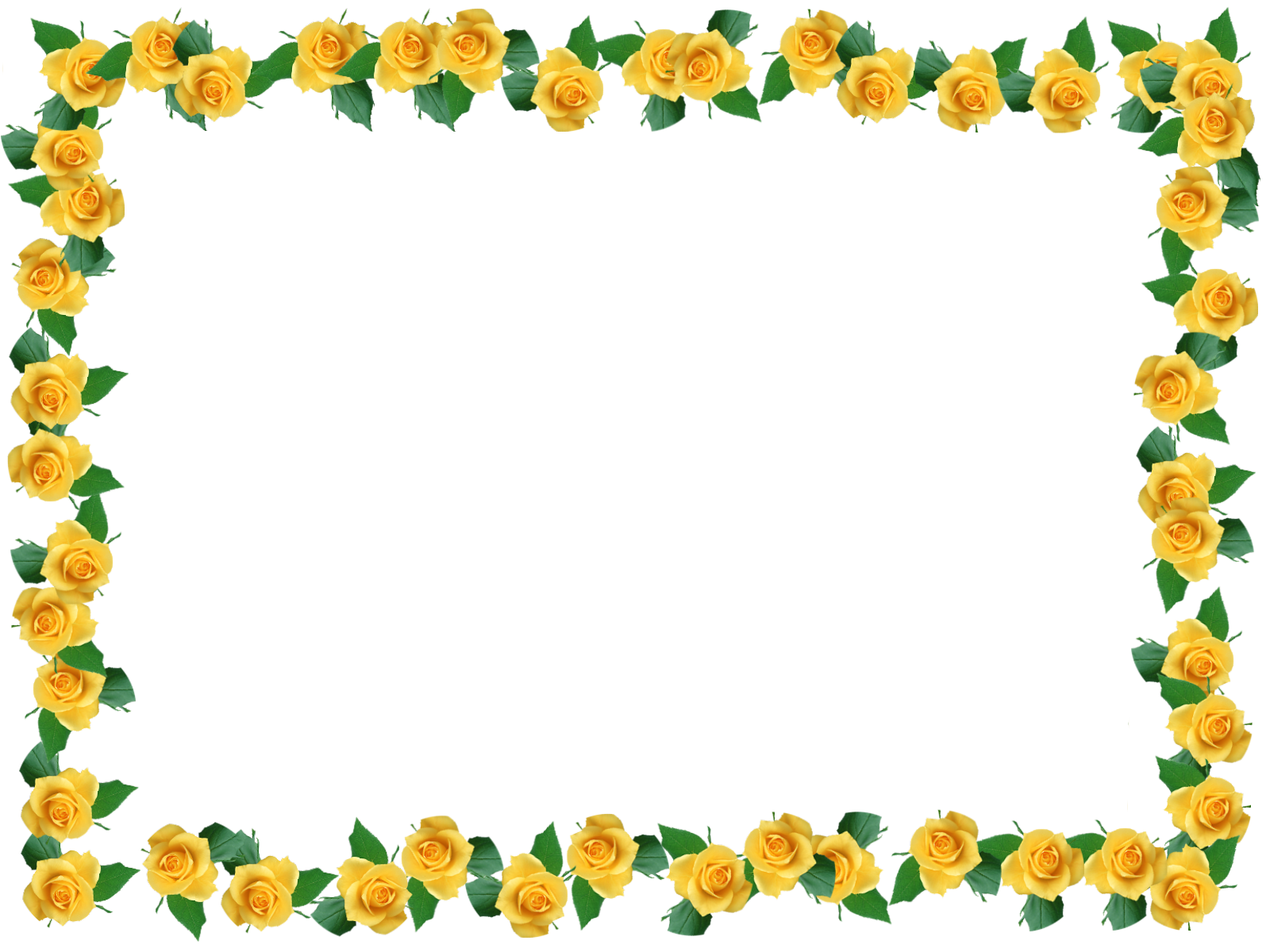 Yellow Edogawa Rectangle Petal Rose PNG