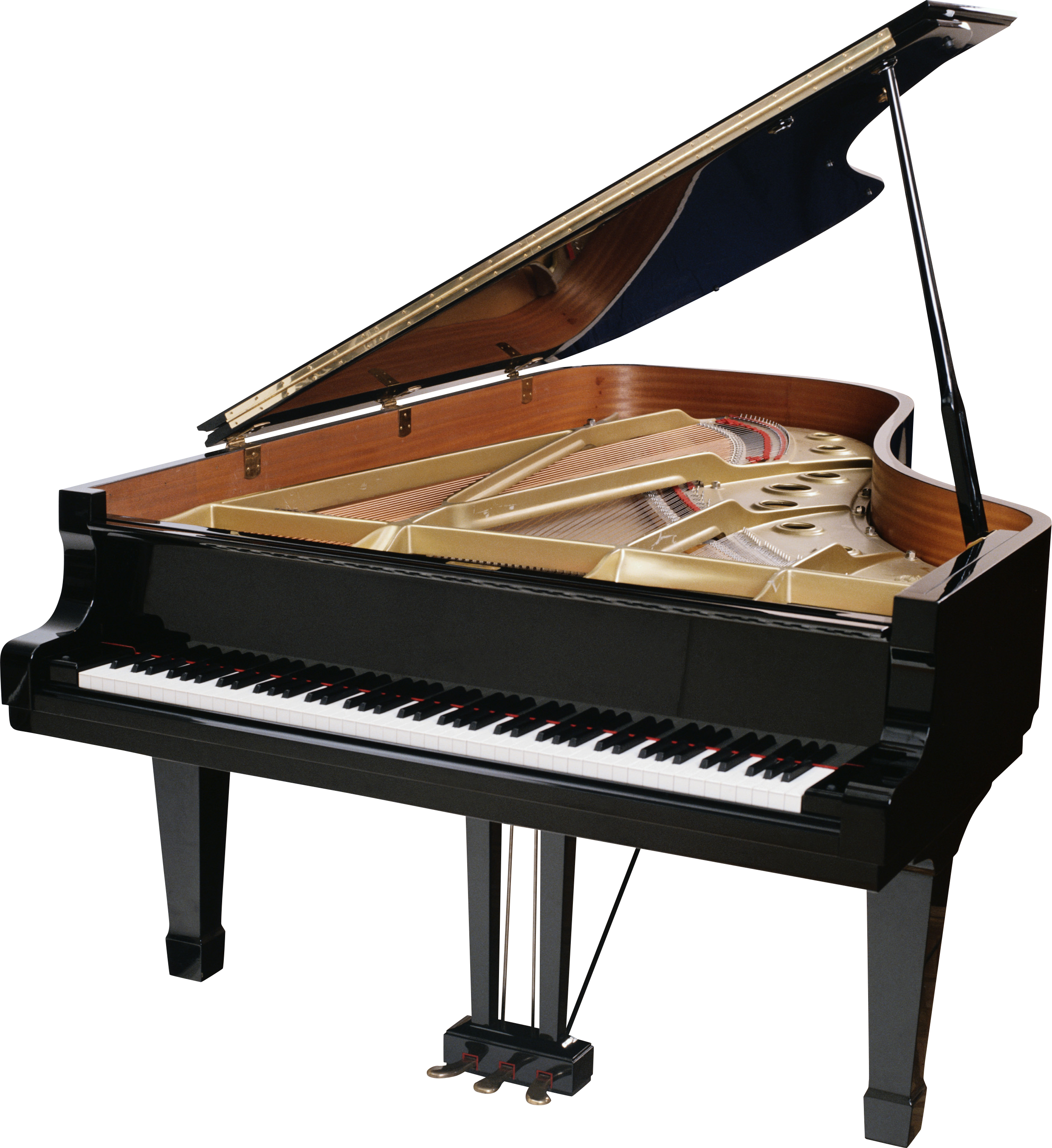 Marimba Woodwinds Pianoforte Forte Footing PNG