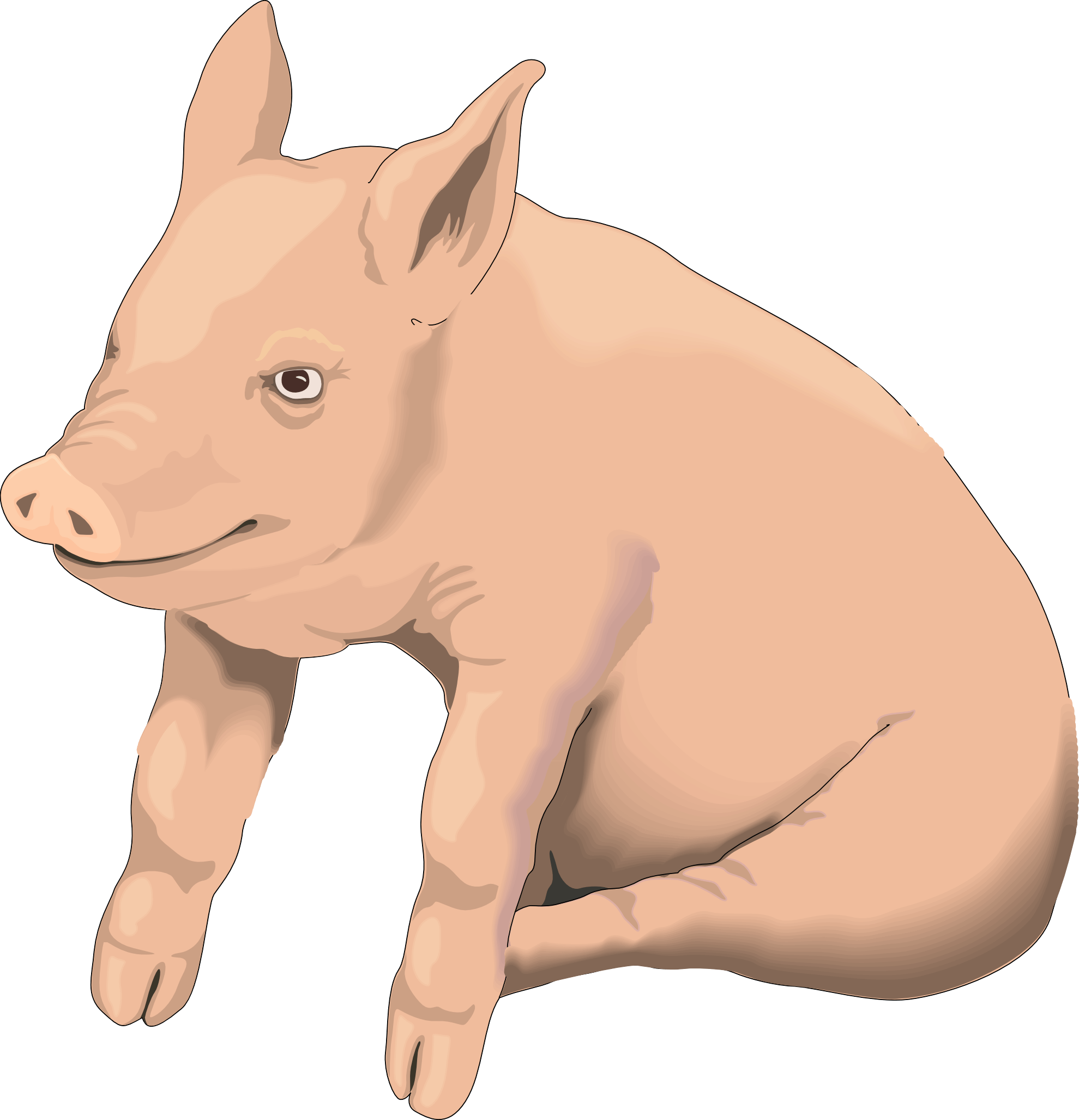 Boar Piggy Dog Rooster Beast PNG