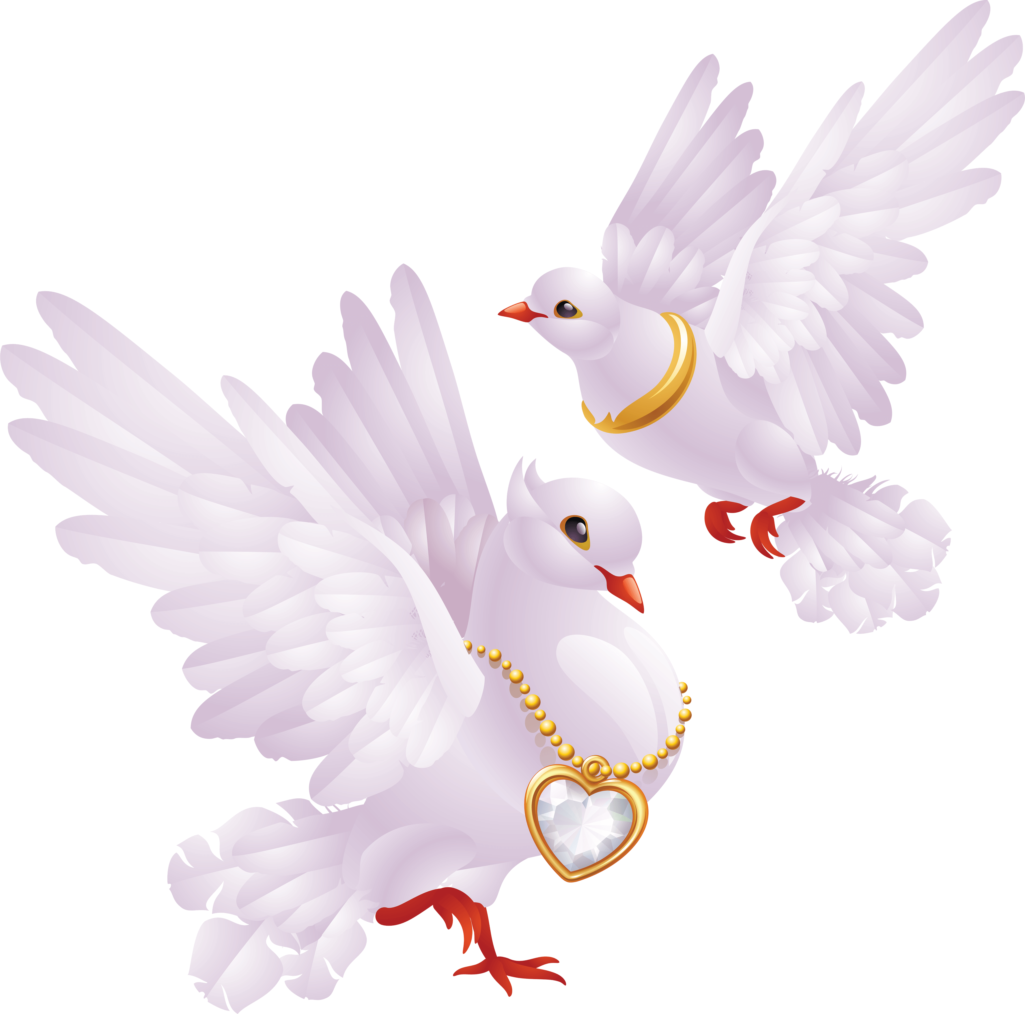 Grackle Wagtails Wedding Gull Mule PNG
