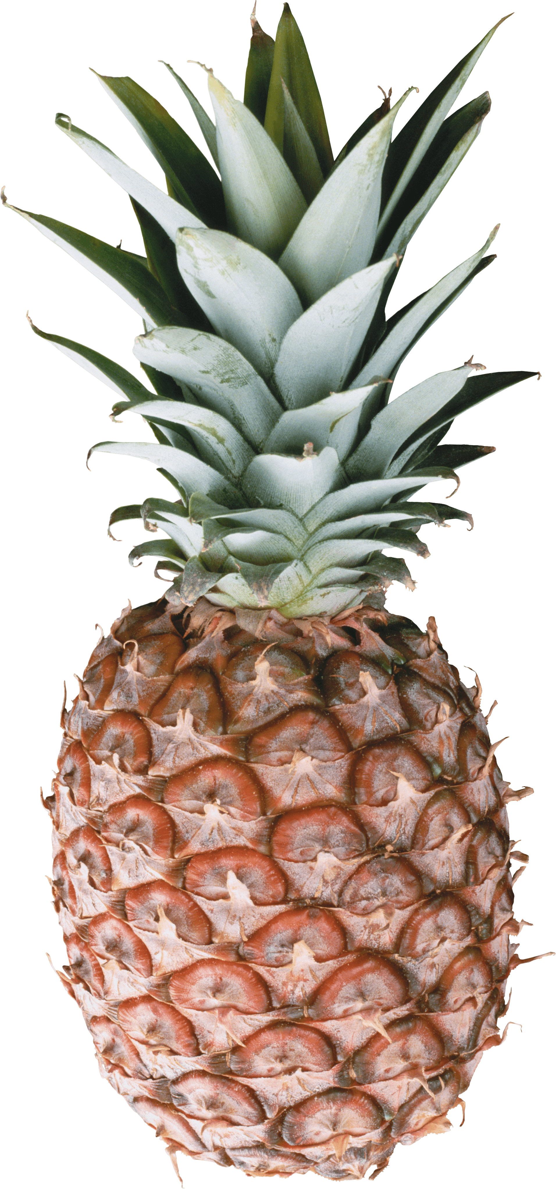 Pear Pineapple Pure Perfect Guava PNG