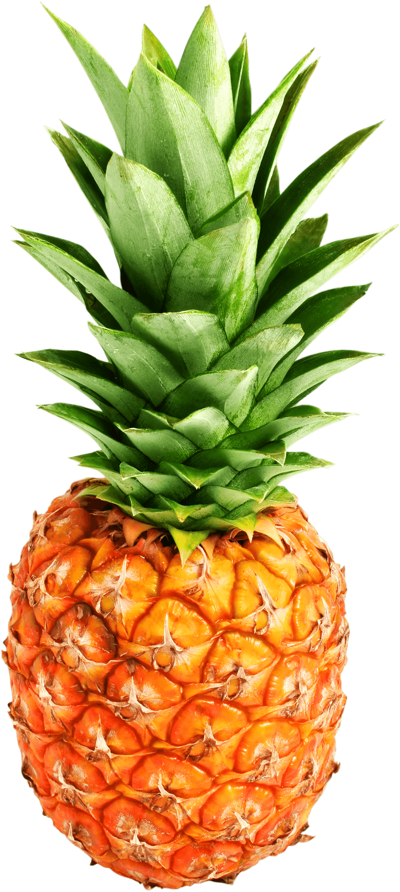 Grenade Pineapple Fit Grapefruit Canon PNG