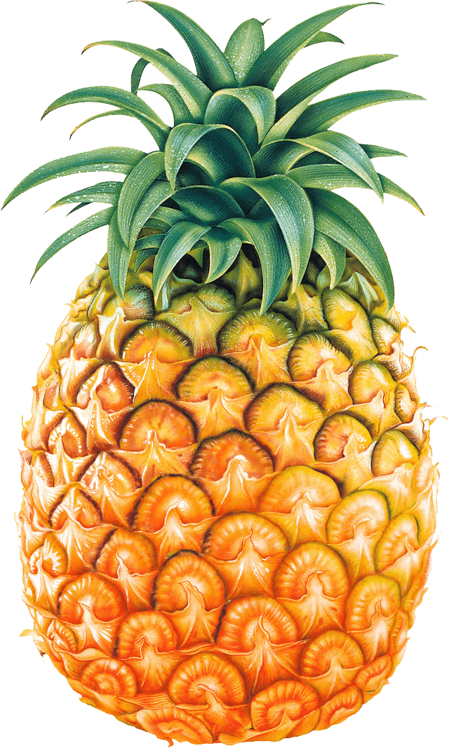 Macadamia Fit Pineapple Strawberry Melon PNG