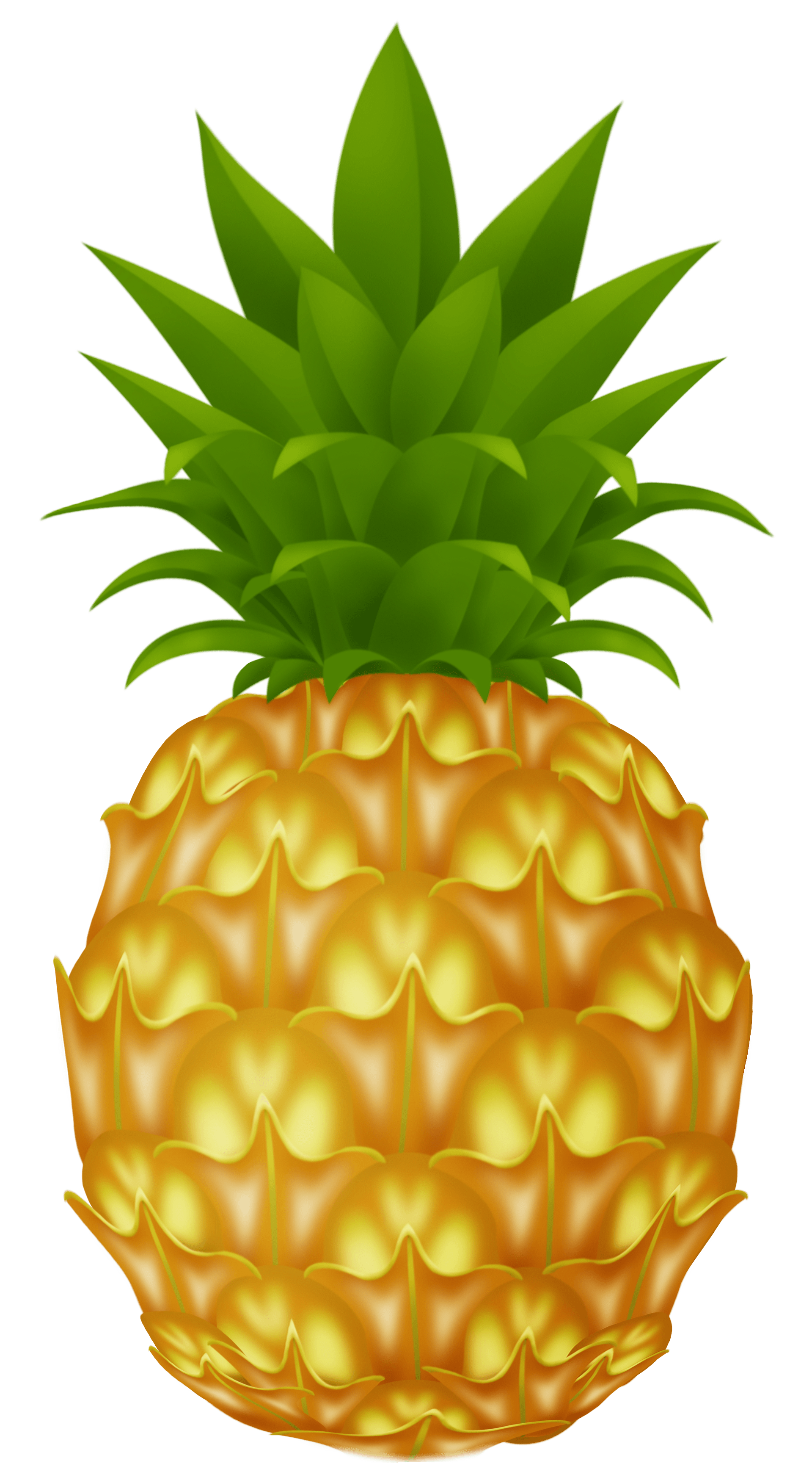 Stylish Pineapple Smile Blueberry Papaya PNG