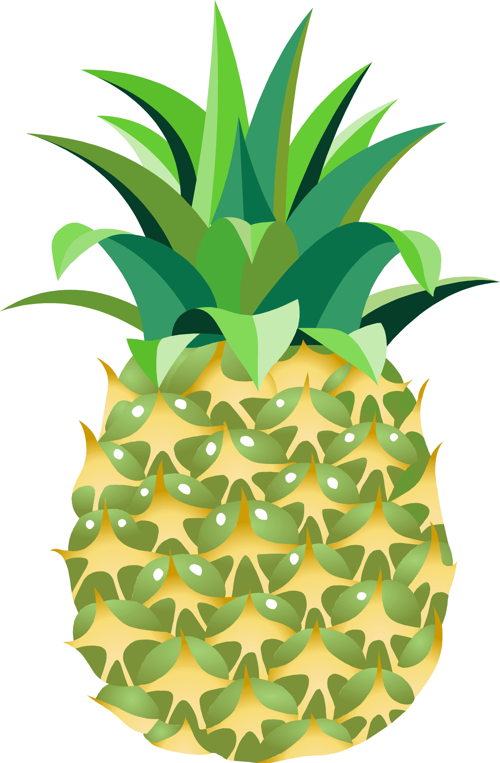 Pineapple Avocado Better Girls Blueberry PNG