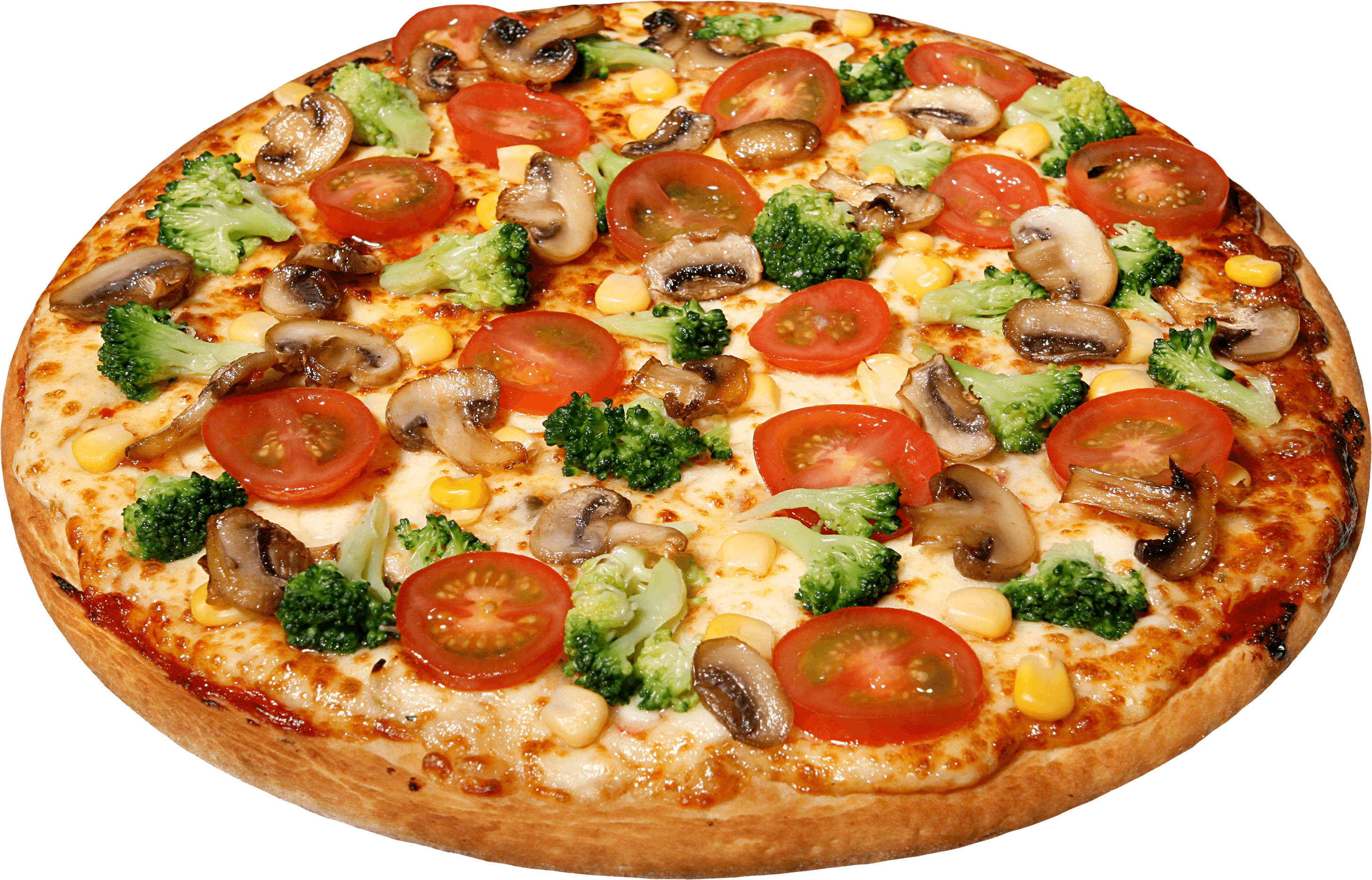 Fashionista Foodie Pizza Pasta Sushi PNG