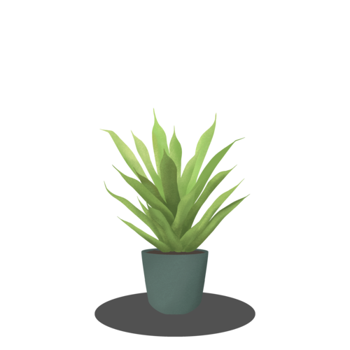 Aloe Abattoir Vegetable Soil Lettuce PNG