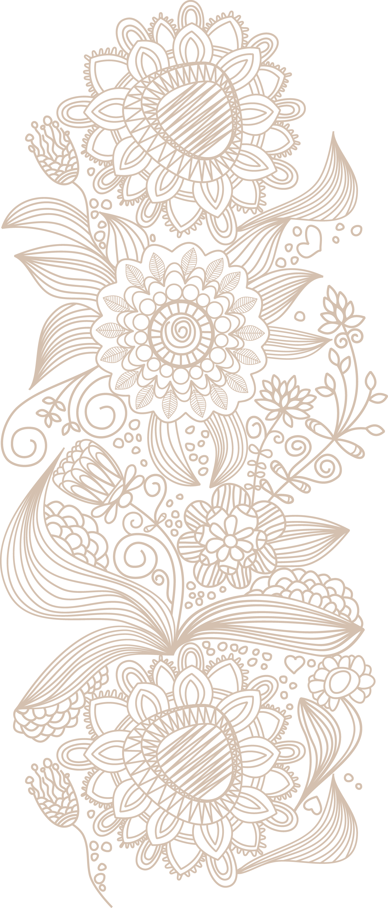 Lace Design Euclidean Sowing Pattern PNG