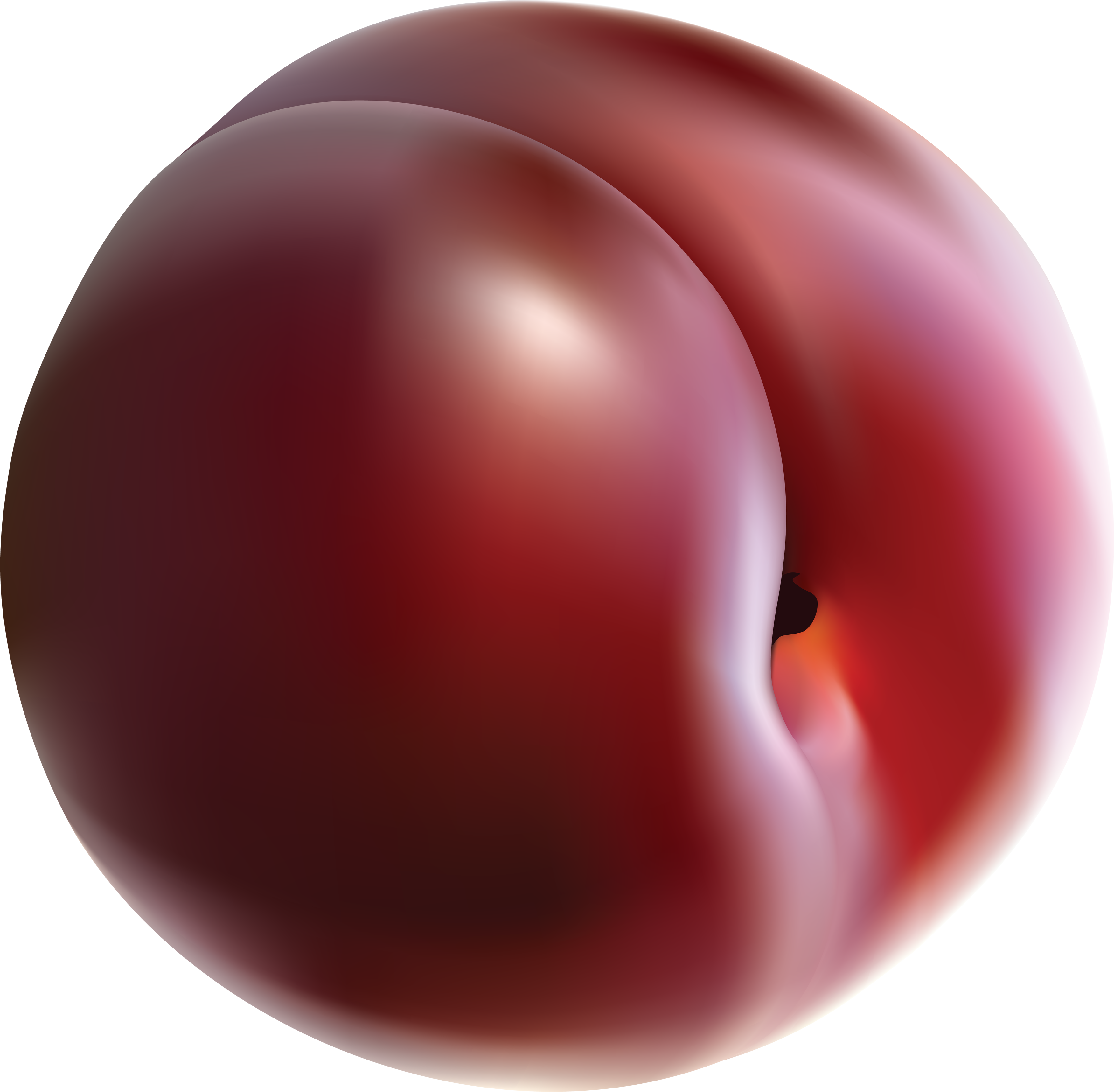 Red Apricot Damson Colorful Stylish PNG