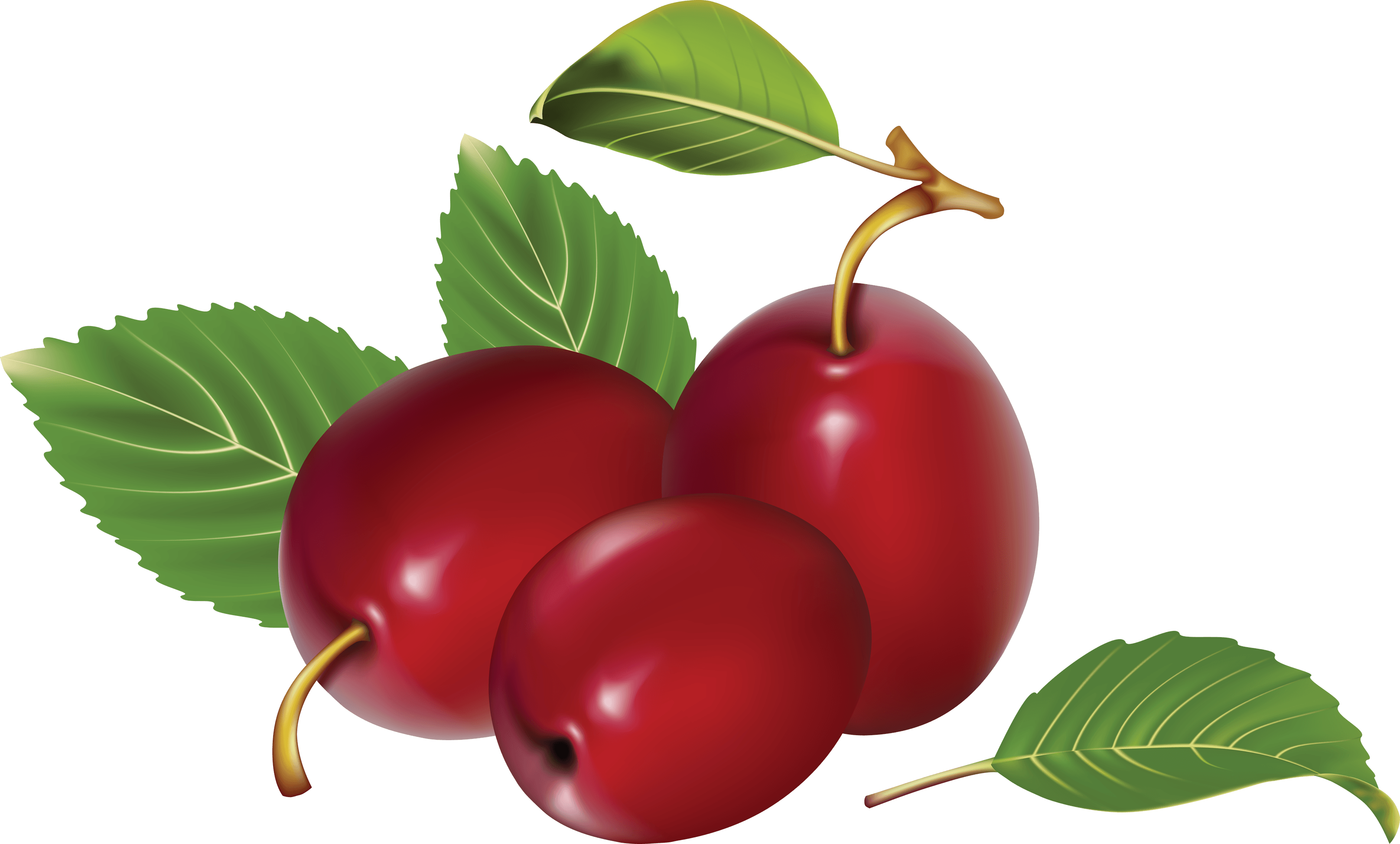 Cherry Raspberry Fit Plum Persimmon PNG