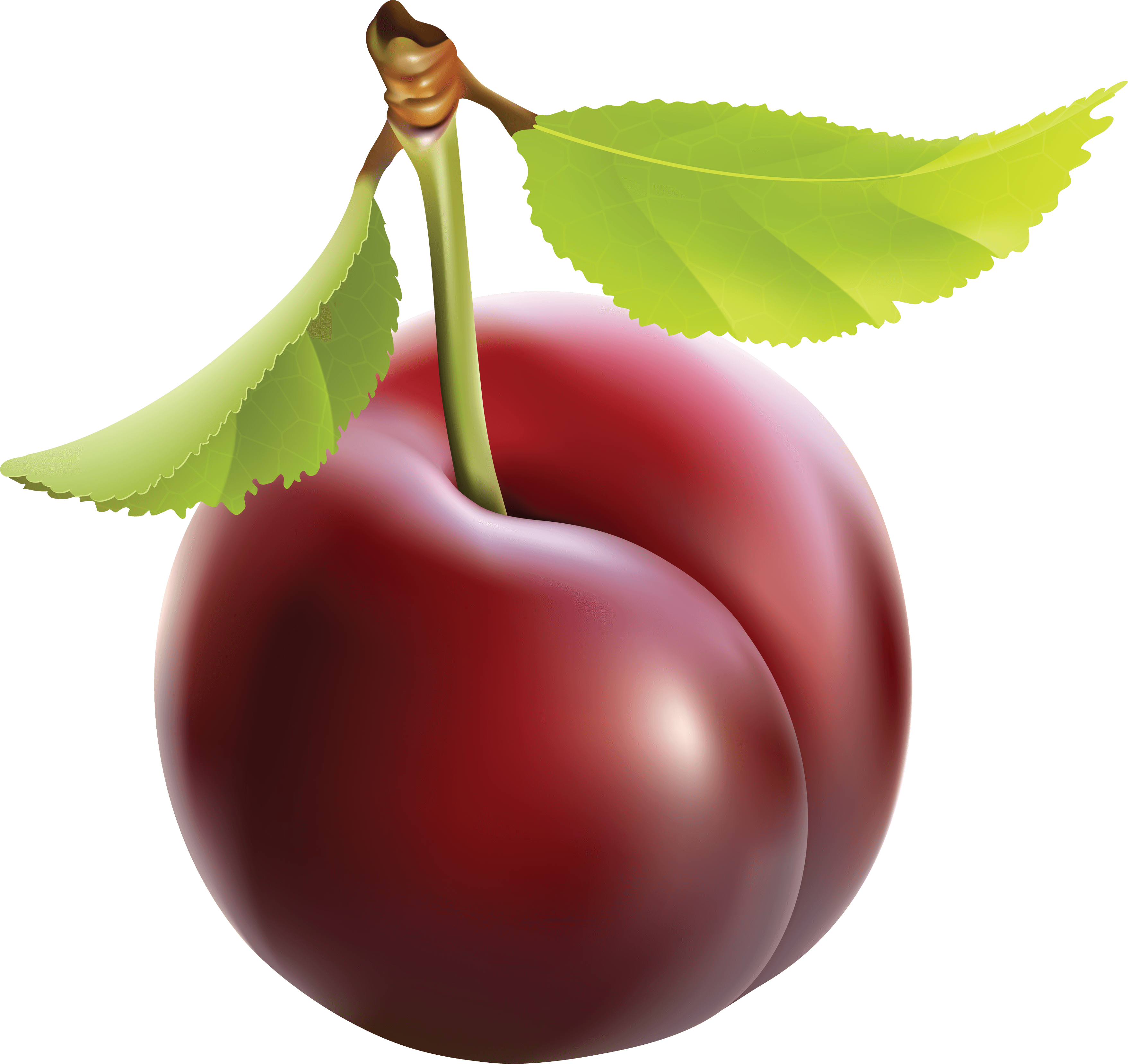 Plumb Snack Healthy Peach Plum PNG