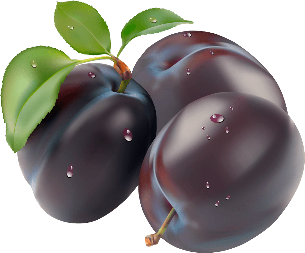 Prune Clean Pest Currant Delicious PNG
