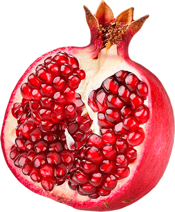 Berry Fruit Pomegranate Jujube Fit PNG