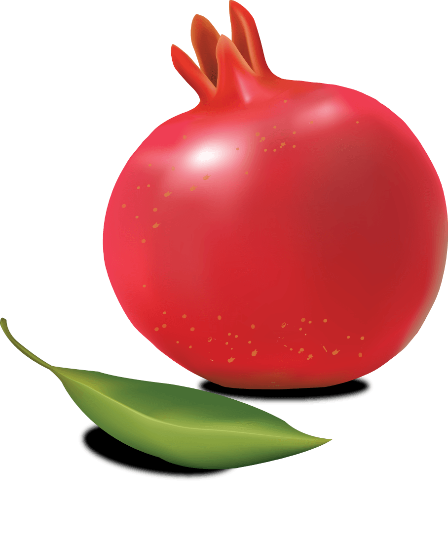 Raspberry Fennel Fruit Pomegranate Better PNG