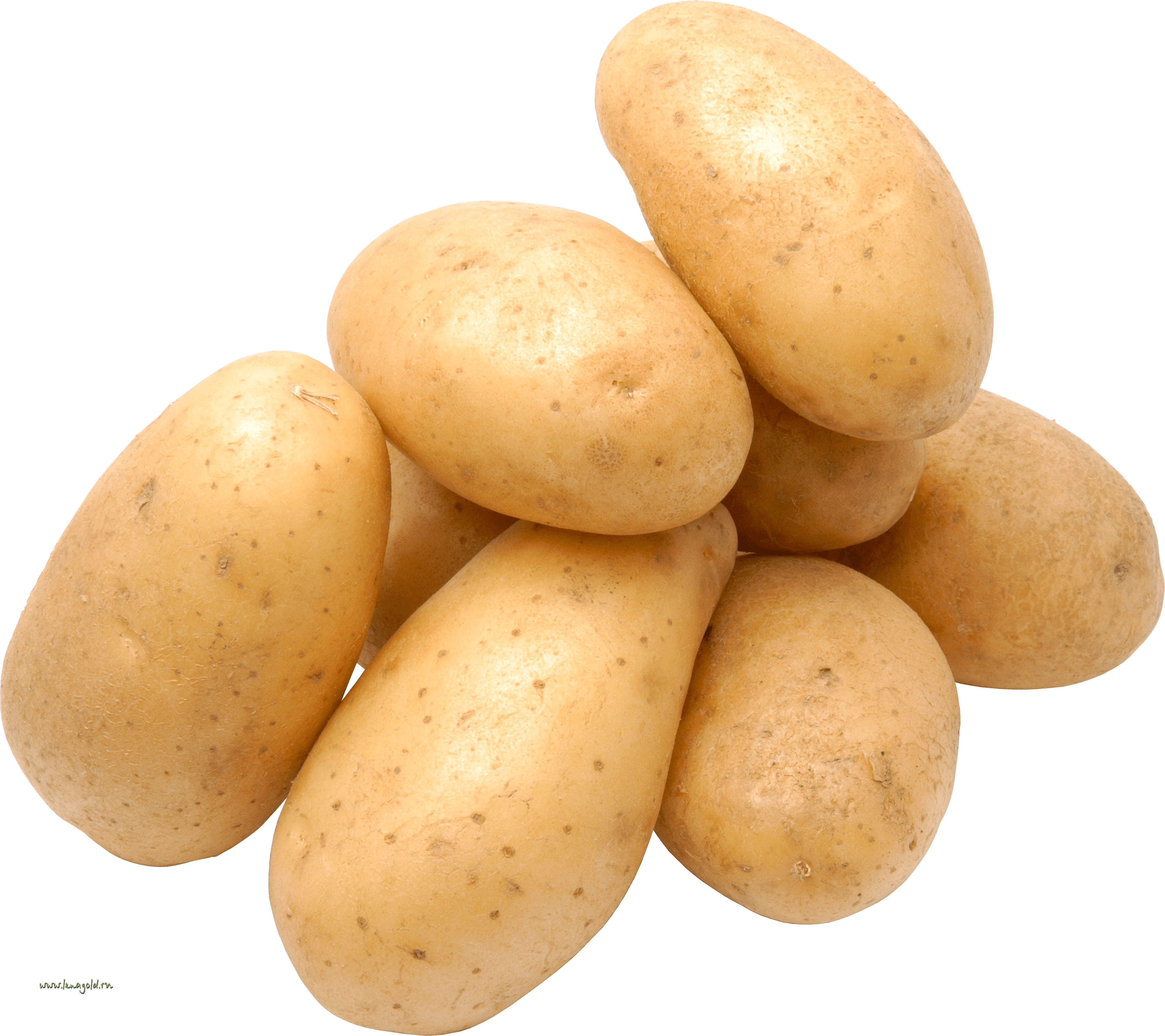 Dad Potato Apple Fats Jackass PNG